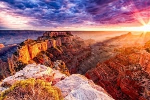 LA: San Francisco, Yosemite, Las Vegas, Grand Canyon Tour di 7 giorni