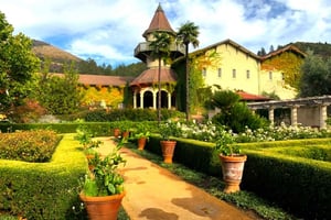 Z San Francisco: Private Muir Woods i Napa Wine Tour