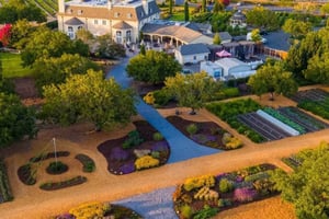 From San Francisco: Redwoods Tour and Gourmet Lunch and Wine