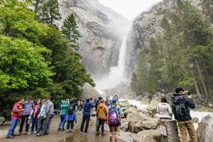 Fra San Francisco: Guidet dagstur til Yosemite nasjonalpark
