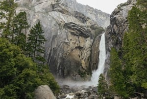 Från Dagsutflykt till Yosemite National Park