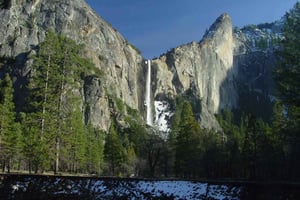 Fra SFO-Yosemite National Park - fortryllende heldagstur