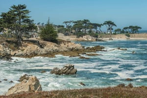 Passeio turístico pela Península de Monterey, incluindo a 17 Mile Drive