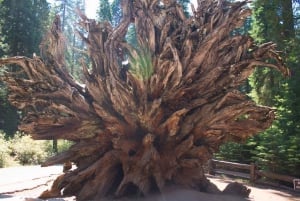 San Francisco: Yosemite, Las Vegas, Bryce & Zion, 6-dagers tur