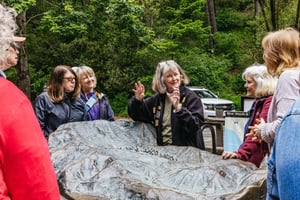 Gran tour della città di San Francisco + Muir Woods e Sausalito