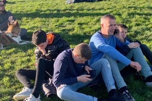 San Francisco : visite d'une demi-journée en voiture privée avec un guide