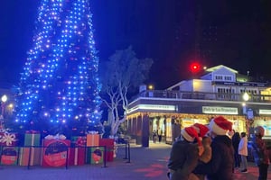 San Francisco: Holiday Lights Yksityinen ryhmä Jeep Tour