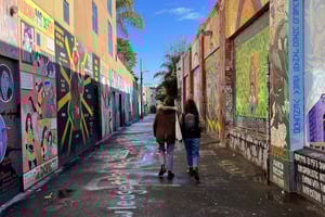 San Francisco : Missionin ja Castron kaupunginosien kierros ranskaksi