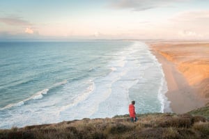 San Francisco: Reyes ja Meadery Tour: Muir Woods, Point Reyes ja Meadery Tour