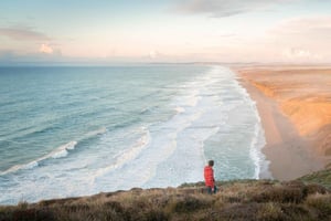 San Francisco: Muir Woods, Point Reyes och Meadery Tour