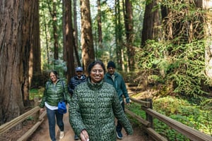 Сан-Франциско: Мьюир Вудс, Саусалито и круиз по заливу Сан-Франциско