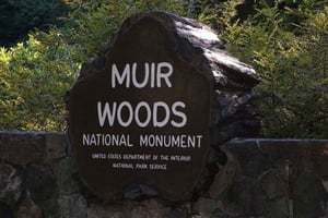 San Francisco: Dagsudflugt til Muir Woods, Sausalito og Tiburon