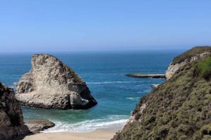 San Francisco:Excursion privée d'une journée à Monterey, Carmel et Big Sur