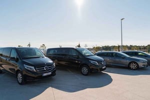 San Francisco: Privat flygtransfer från SFO flygplats till centrum