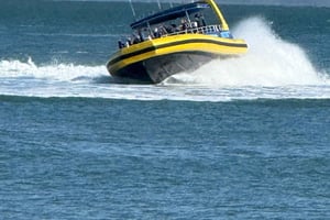 San Francisco: RocketBoat Tour... See you in the Spring!