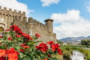 San Francisco: Lyxig vinrundtur i liten grupp i Napa Valley