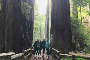 San Francisco-tur til Muir Woods Giant Redwoods & Sausalito