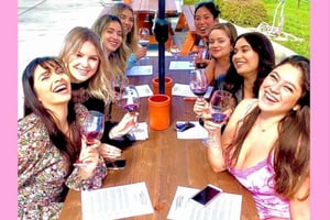 San Fransisco: Vintage VW Bus Wine Country Tour Small Group