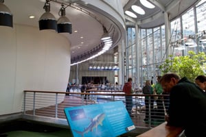 SF: CA Academy of Sciences & Hop-on Hop-off Tour (Säästä 15%)