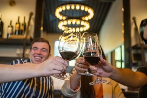 Den ultimate vinturen i Napa og Sonoma