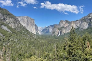 Yosemite, Séquoias géants, visite privée depuis San Francisco