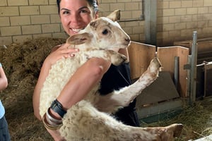 ビルバオから：サン セバスチャンとバスク チーズ ファーム ツアー