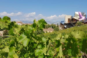 Från San Sebastian/Bilbao/Vitoria: La Rioja Wineries Tour