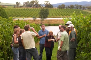 Från San Sebastian/Bilbao/Vitoria: Rioja Wine Tour med lunch