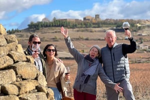 Från San Sebastian: Rioja privat dagsutflykt med vinprovning