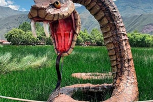 Congonhas (CGH) Privat transport til Gru og Vcp flyplasser