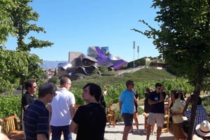 Rioja: Tour particular de degustação de vinhos