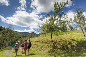 San Sebastián: Traditionell ciderhus-tur med lunch