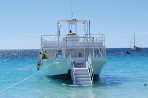 Barbados: Carlisle Bay stranddag en schildpaddenzwemervaring