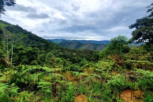Vaellus Atlantin metsässä, vesiputouksia, tarinoita. GOLD TRAIL.