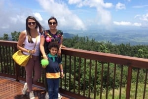 Campos do Jordão: Full-Day Private Tour from São Paulo