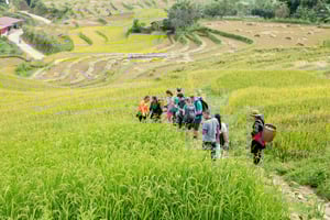 Fra Hanoi: 2-dages Sa Pa Ethnic Homestay Tour med trekking