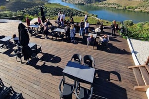 Desde Oporto Tour Privado de Vinos con 2 Catas, Barco y Almuerzo