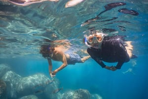Funchal: Snorkelen in het Eco-Park / Aan wal of per boot