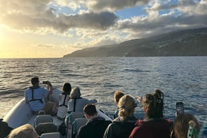 Funchal: Sonnenuntergang über dem Wasser mit dem RIB-Boot +opt Delfin/Wal