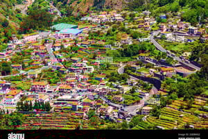 High West Van Rondleiding Madeira (vanuit Funchal)