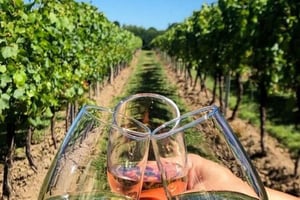 Lisboa: Setúbal, Arrábida y Azeitão Tour Privado de Vinos