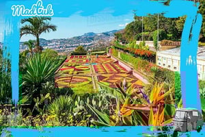 Madeira: Botanische tuinen + oude stad tuktuk-tour door MadTuk