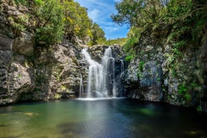 MADEIRA EILAND WANDELING - MEREN VAN MADEIRA , LEVADA DO ALECRIM