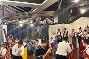 Madeira:TípicoShowFolclore Noite.incluída.Jantar transpt