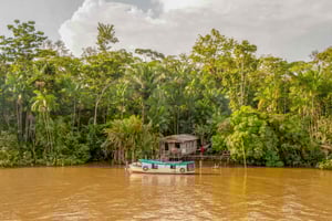 Manaus: 2, 3 eller 4-dagers Amazonas-jungeltur i Anaconda Lodge