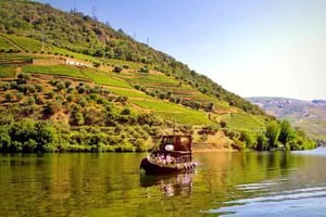 Porto: Douro-vallei-tour met 2 wijnhuizen, lunch en rondvaart
