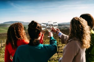 Oporto: Excursión por el Valle del Duero con 2 Bodegas, Almuerzo y Crucero