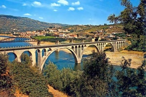Oporto: Ruta del Vino por el Valle del Duero con Almuerzo, Catas y Crucero