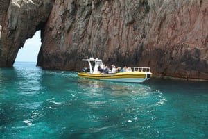 Porto: cruise van een halve dag Scandola-reservaat & Calanche de Piana