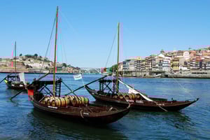 Excursão de meio dia a pé pelo Porto: Cruzeiro no Rio e Prova de Vinhos